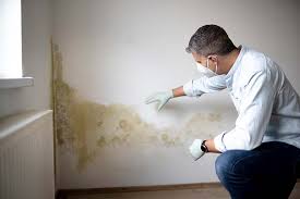 Best Commercial Mold Inspection  in Victoria, TX